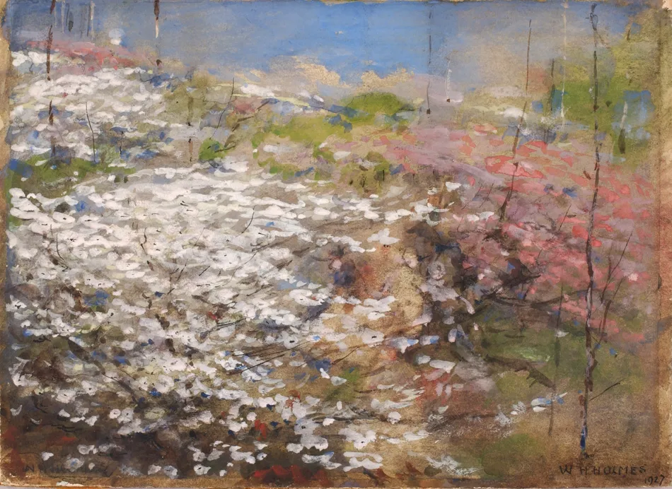 Field Of Blossoms (1927) by William Henry Holmes